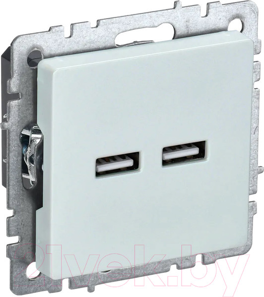 Изображение товара Розетка IEK Brite BR-U21-D31-K36 (жемчуг)