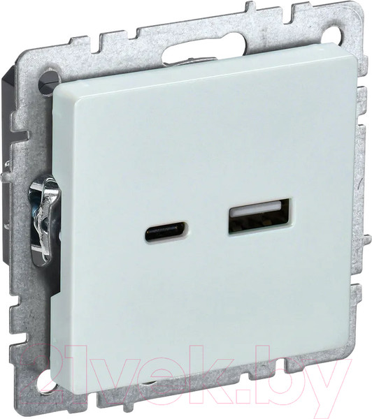 Изображение товара Розетка IEK Brite BR-U22-018-K36 (жемчуг)