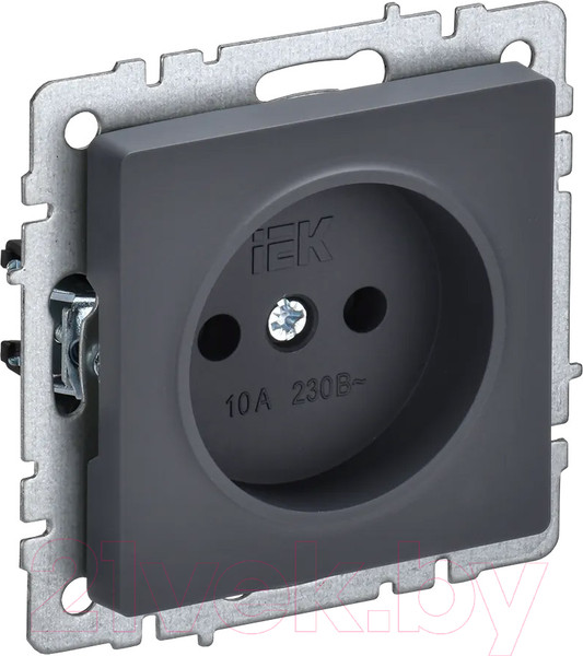 Изображение товара Розетка IEK Brite BR-R10-10-K53 (графит)