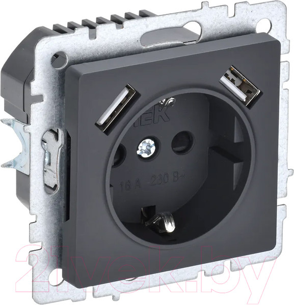 Изображение товара Розетка IEK Brite BR-R14-16-U21-D21-K53 (графит)