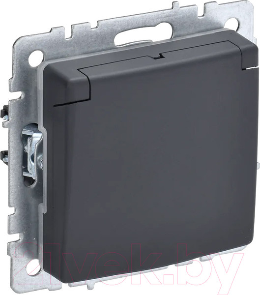 Изображение товара Розетка IEK Brite BR-R16-16-44-K53 (графит)