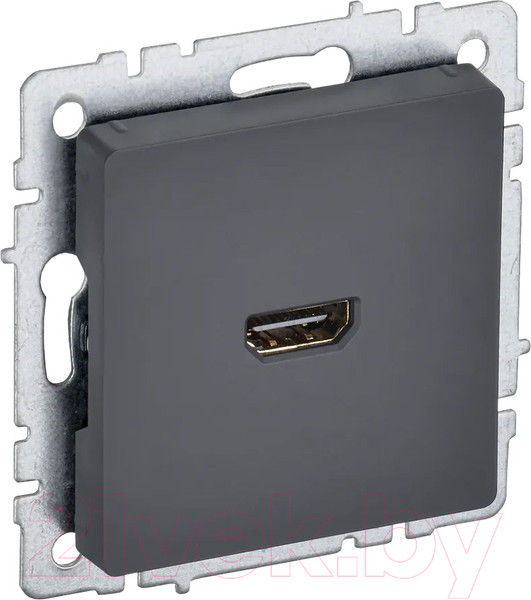 Изображение товара Розетка IEK Brite BR-H10-K53 (графит)