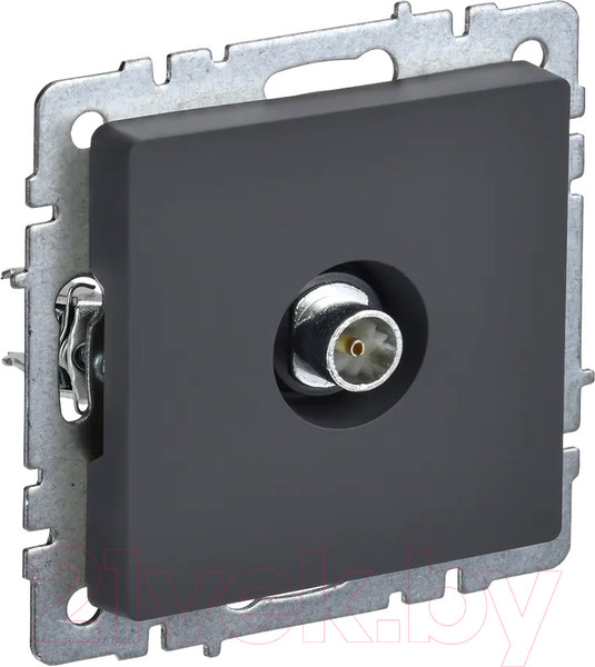 Изображение товара Розетка IEK Brite BR-A10-O-K53 (графит)