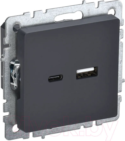 Изображение товара Розетка IEK Brite BR-U22-018-K53 (графит)