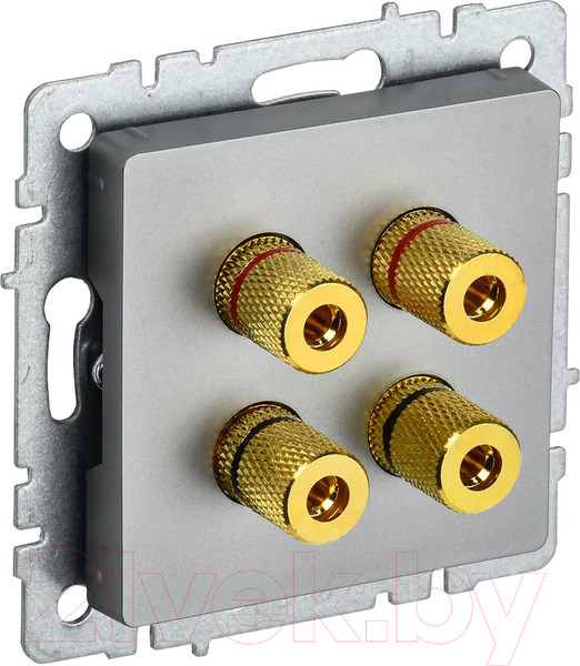 Изображение товара Розетка IEK Brite BR-S40-K46 (сталь)