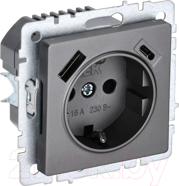Изображение товара Розетка IEK Brite BR-R14-16-U22-018-K46 (сталь)