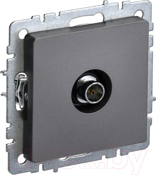 Изображение товара Розетка IEK Brite BR-A10-O-K46 (сталь)