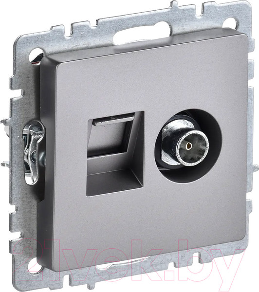 Изображение товара Розетка IEK Brite BR-AK20-1-K46 (сталь)