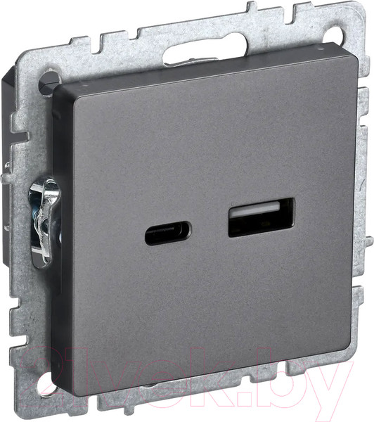 Изображение товара Розетка IEK Brite BR-U22-018-K46 (сталь)