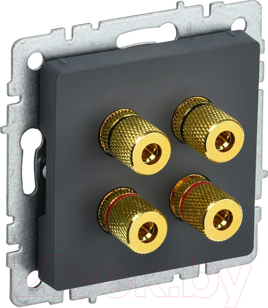 Изображение товара Розетка IEK Brite BR-S40-K53 (графит)