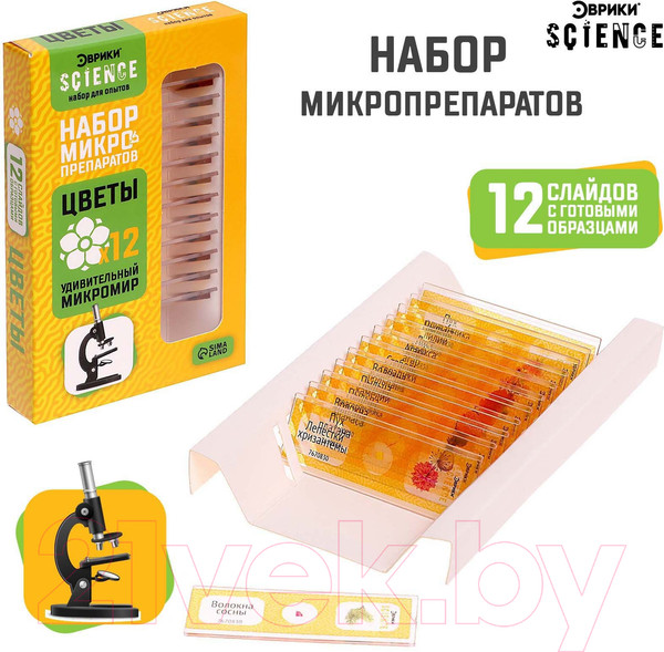 Изображение товара Набор микропрепаратов Эврики Набор микропрепаратов / 7670830