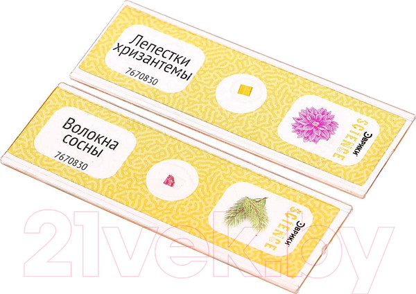 Изображение товара Набор микропрепаратов Эврики Набор микропрепаратов / 7670830