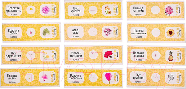 Изображение товара Набор микропрепаратов Эврики Набор микропрепаратов / 7670830