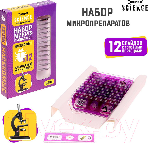 Изображение товара Набор микропрепаратов Эврики Набор микропрепаратов / 7670833