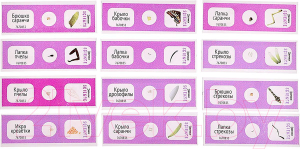 Изображение товара Набор микропрепаратов Эврики Набор микропрепаратов / 7670833