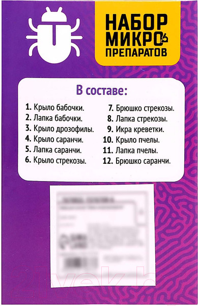 Изображение товара Набор микропрепаратов Эврики Набор микропрепаратов / 7670833