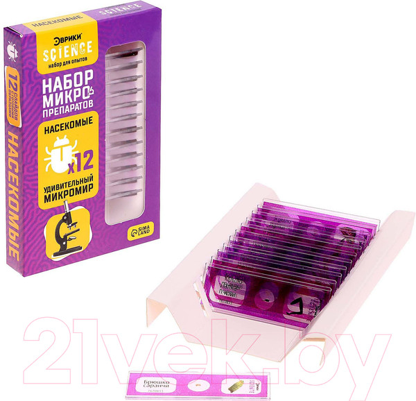 Изображение товара Набор микропрепаратов Эврики Набор микропрепаратов / 7670833