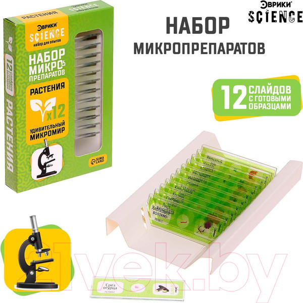 Изображение товара Набор микропрепаратов Эврики Набор микропрепаратов / 7670832