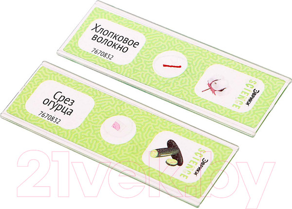 Изображение товара Набор микропрепаратов Эврики Набор микропрепаратов / 7670832