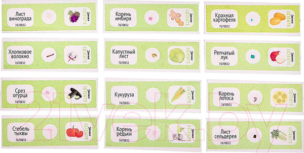 Изображение товара Набор микропрепаратов Эврики Набор микропрепаратов / 7670832