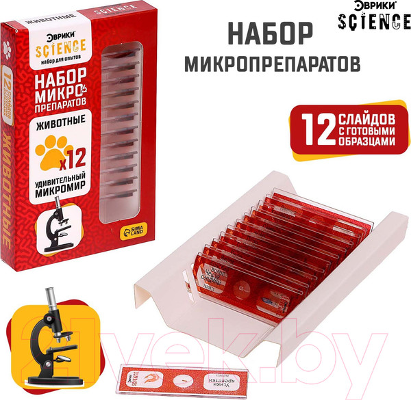 Изображение товара Набор микропрепаратов Эврики Набор микропрепаратов / 7670831