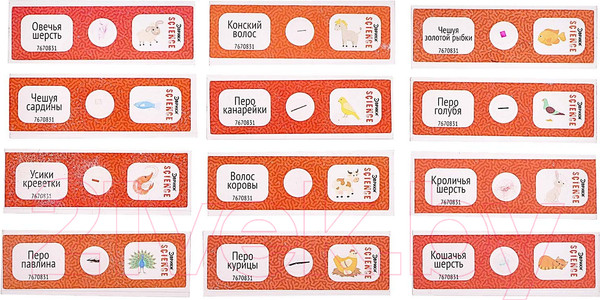 Изображение товара Набор микропрепаратов Эврики Набор микропрепаратов / 7670831