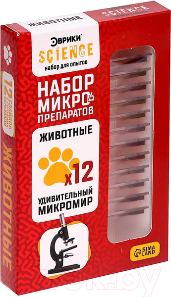 Изображение товара Набор микропрепаратов Эврики Набор микропрепаратов / 7670831