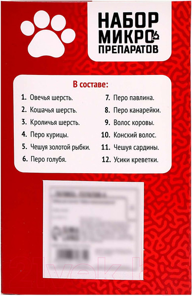 Изображение товара Набор микропрепаратов Эврики Набор микропрепаратов / 7670831
