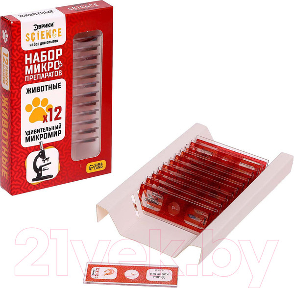 Изображение товара Набор микропрепаратов Эврики Набор микропрепаратов / 7670831