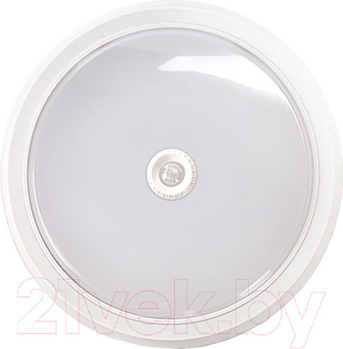 Изображение товара Светильник ЖКХ INhome СПБ-2Д-Круг / 4690612020693