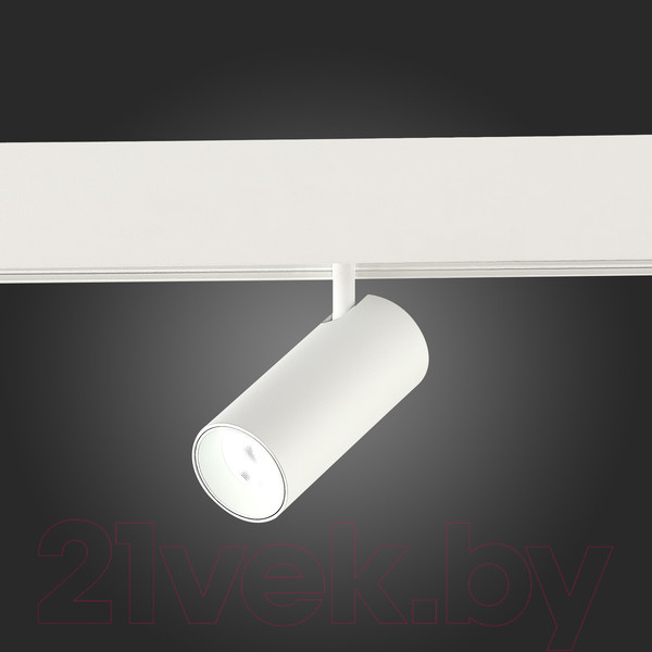 Изображение товара Трековый светильник ST Luce Smart ST375.506.20
