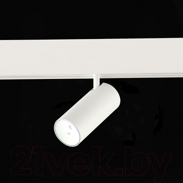 Изображение товара Трековый светильник ST Luce Smart ST375.506.20