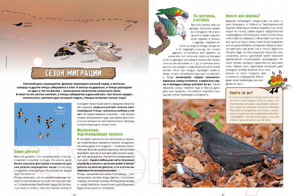 Изображение товара Комикс Пешком в историю Птицы в комиксах-3 (Гаррера, Сирван)