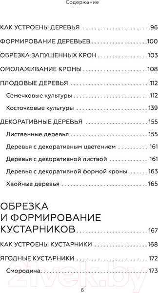 Изображение товара Книга АСТ Энциклопедия садовой обрезки (Окунева И.Б.)