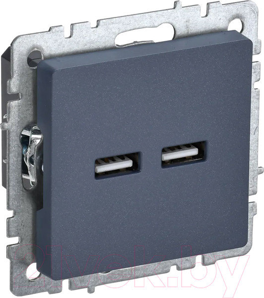 Изображение товара Розетка IEK Brite BR-U21-D31-K35 (маренго)