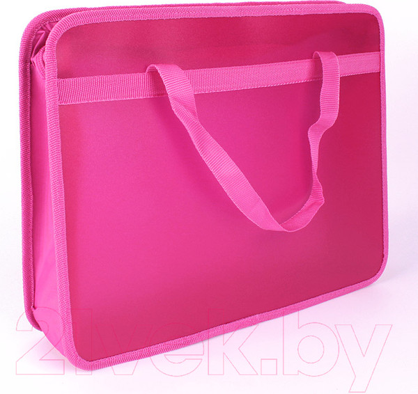 Изображение товара Папка-портфель Пчелка Изучай мир / ПМ-А4-25