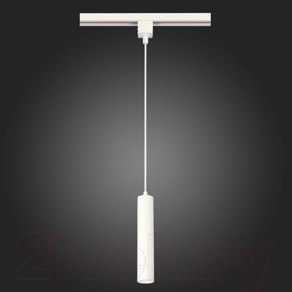 Изображение товара Трековый светильник ST Luce ST151.506.01