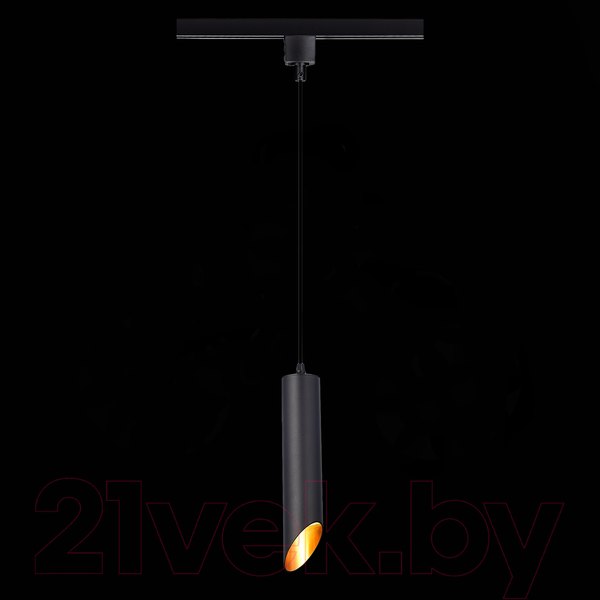 Изображение товара Трековый светильник ST Luce ST152.406.01