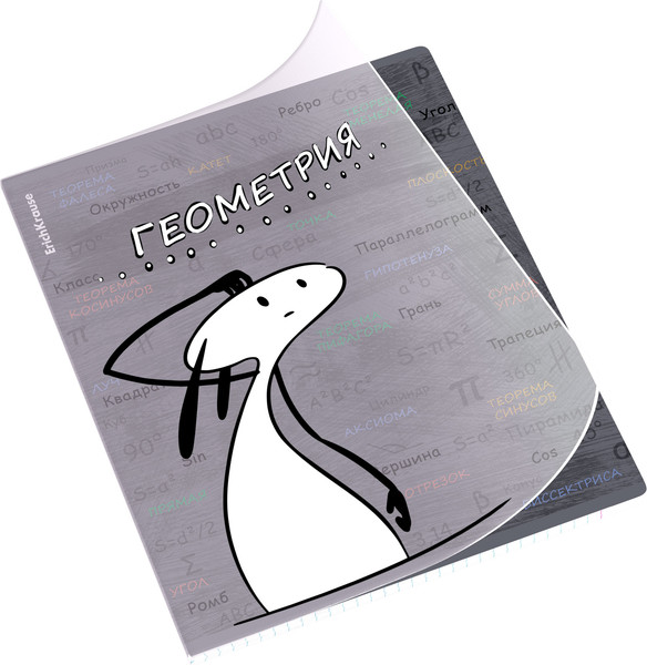 Изображение товара Тетрадь предметная Erich Krause Чубрик. Геометрия / 59471 (48л)