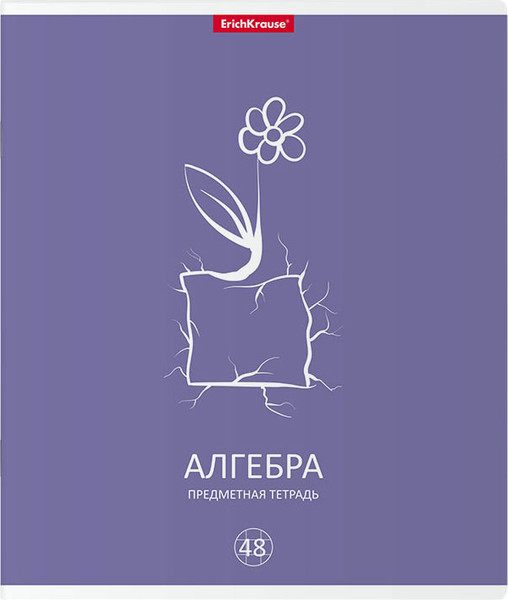 Изображение товара Тетрадь предметная Erich Krause Simple Link. Алгебра / 59494 (48л)