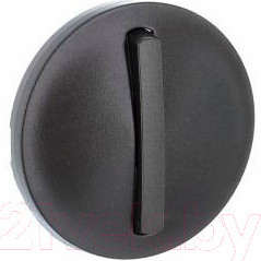 Изображение товара Лицевая панель Legrand Celiane 65201 (графит)