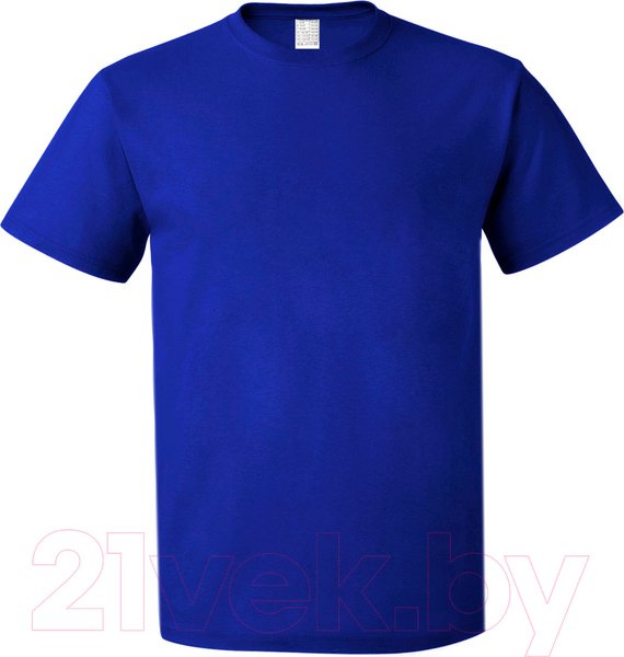 Изображение товара Футболка Sardoba Tekstil Х/б 160гр (p.XXL, василек)