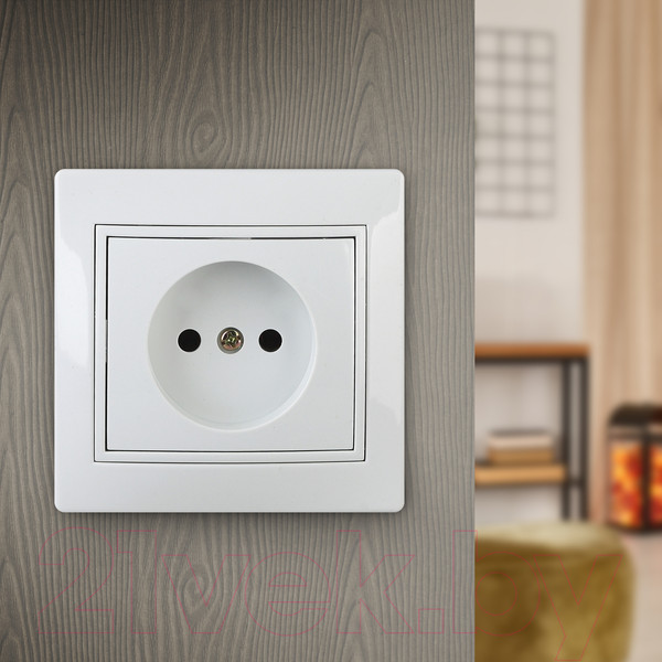 Изображение товара Розетка INTRO Plano 1-201-01 / Б0053859 (белый)