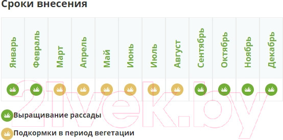 Изображение товара Удобрение Fertika Кристалон для пальмовых (5x10мл)