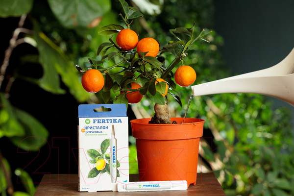 Изображение товара Удобрение Fertika Кристалон для цитрусовых (5x10мл)