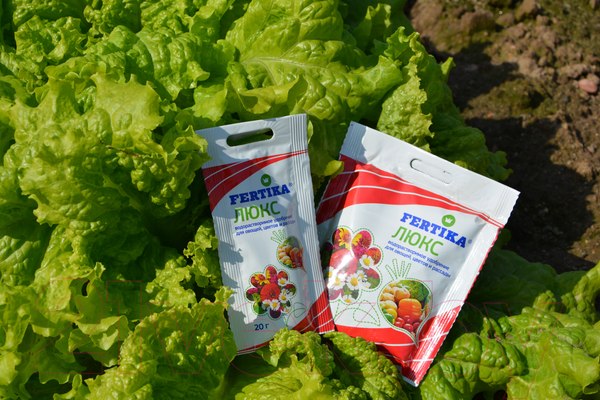 Изображение товара Удобрение Fertika Люкс (20г)