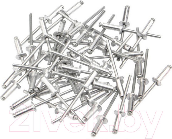 Изображение товара Набор заклепок Rexant 4.8x12мм / 12-5364 (50шт)