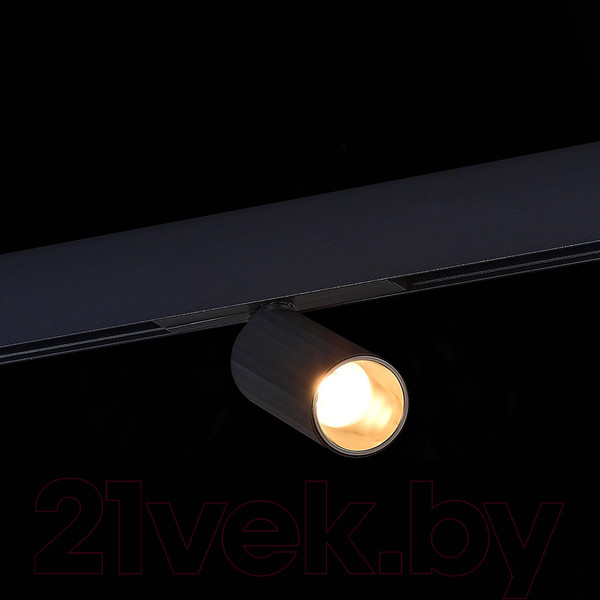 Изображение товара Трековый светильник ST Luce ST807.436.12