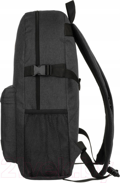 Изображение товара Рюкзак Cedar Rovicky R-PL218-T-7569 (черный)