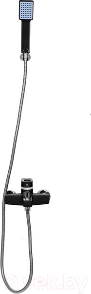 Изображение товара Смеситель Wisent WP3030-6